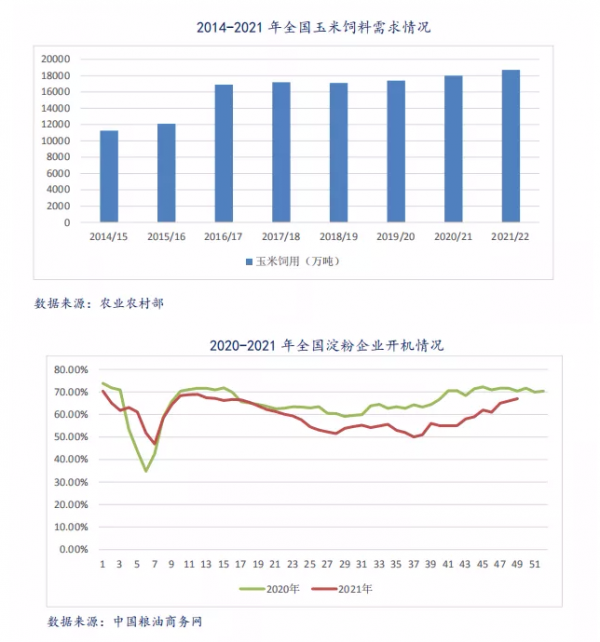 玉米13